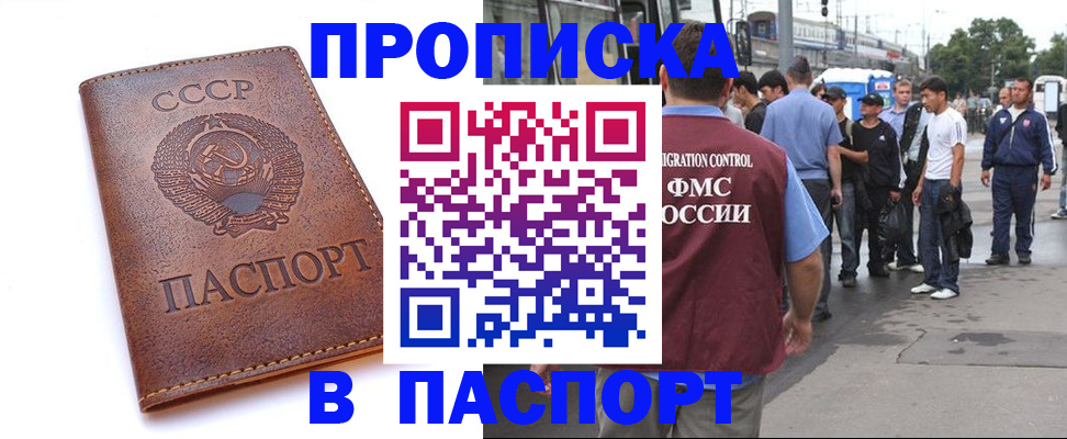 временная регистрация поиск в Гатчине